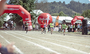 Instagram Olimpiadas 2024