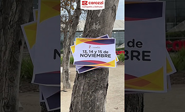 ¿Estás listo? ¡Activa tu Modo Olimpiada!