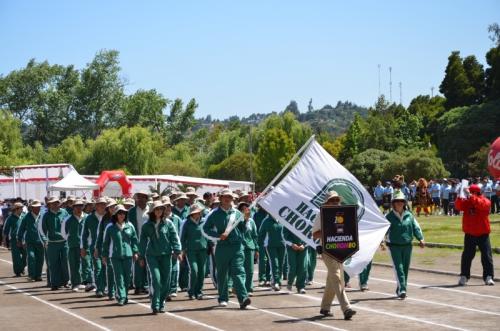 Olimpiada10 2012_035