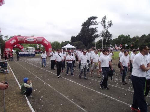 Olimpiada11 2014_018