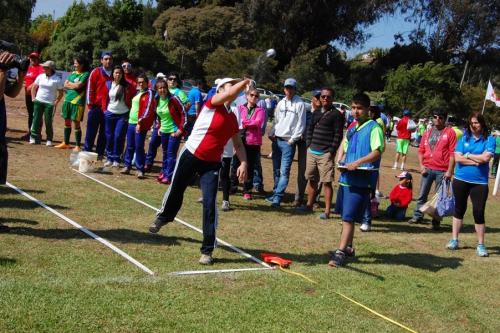 Olimpiada11 2014_081