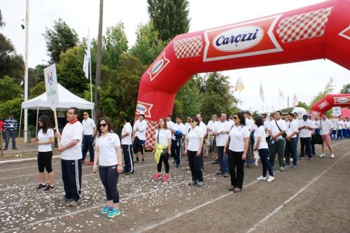 Olimpiada11 2014_410