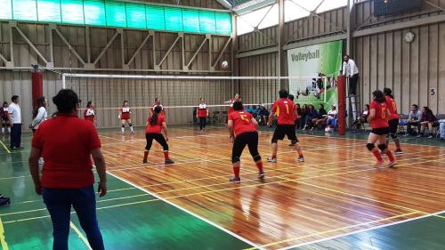 Olimpiada12 2016_040