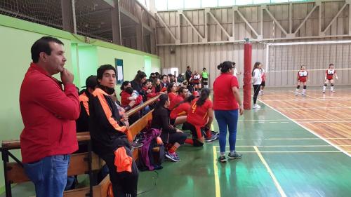 Olimpiada12 2016_045