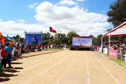 Olimpiada13 2018_046