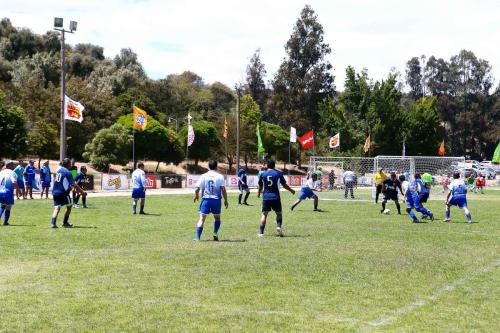 Olimpiada13 2018_220