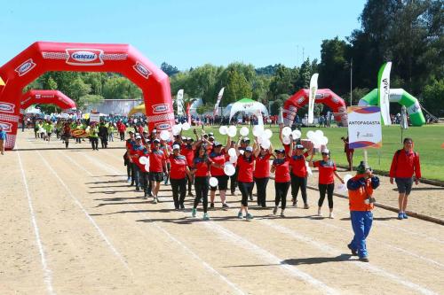 Olimpiada13 2018_414