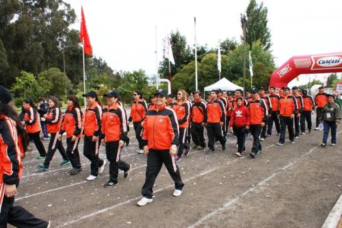 Olimpiada13 2018_468