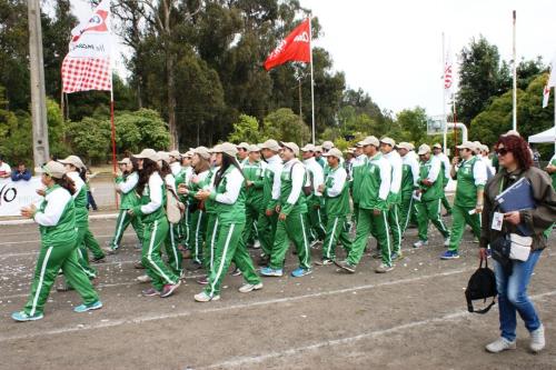 Olimpiada13 2018_469