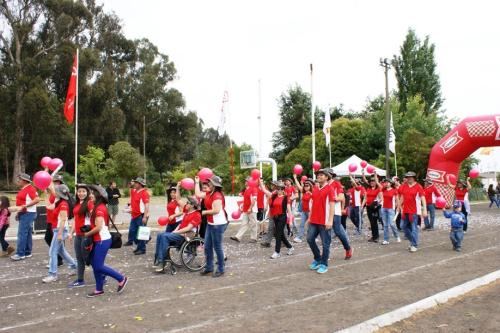 Olimpiada13 2018_471