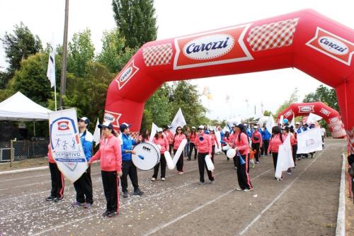 Olimpiada13 2018_474