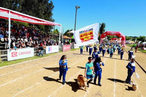 Olimpiada13 2018_487