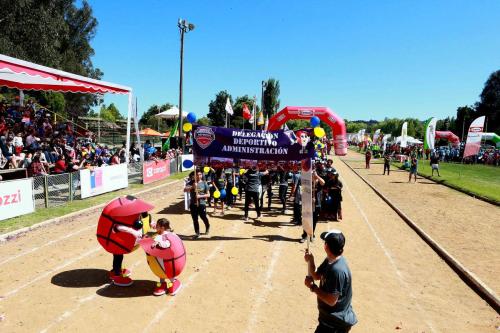 Olimpiada13 2018_508