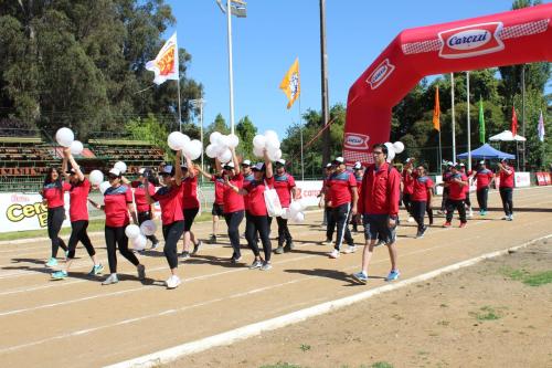 Olimpiada13 2018_639