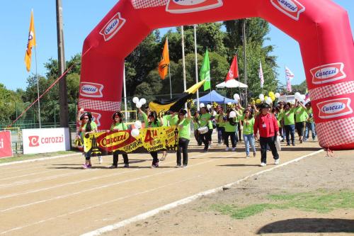 Olimpiada13 2018_641