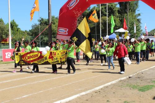 Olimpiada13 2018_642