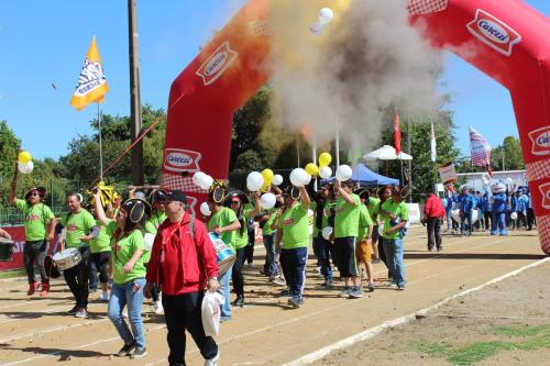 Olimpiada13 2018_643