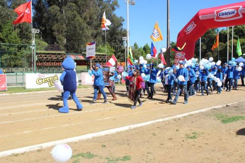 Olimpiada13 2018_645