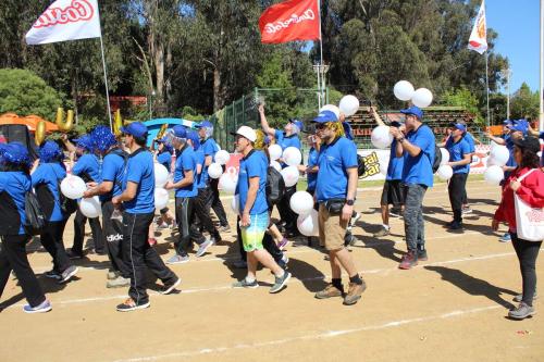 Olimpiada13 2018_666