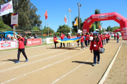 Olimpiada13 2018_672