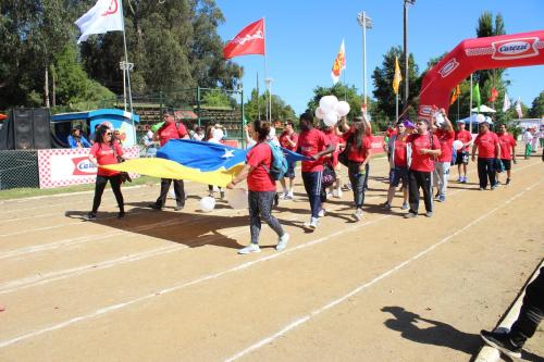 Olimpiada13 2018_673