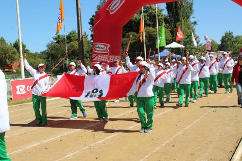 Olimpiada13 2018_679