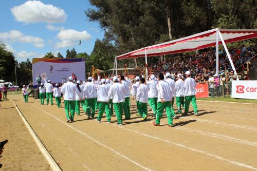 Olimpiada13 2018_684