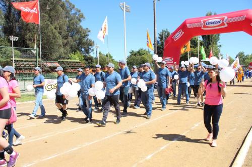 Olimpiada13 2018_688