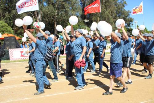 Olimpiada13 2018_689