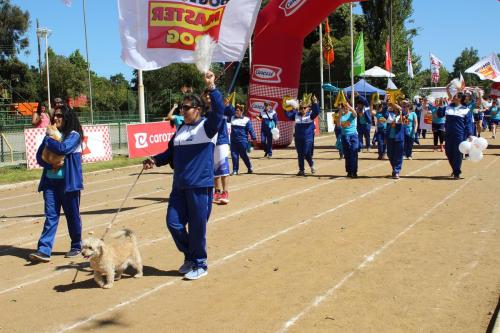 Olimpiada13 2018_694