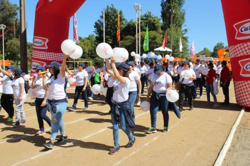 Olimpiada13 2018_701