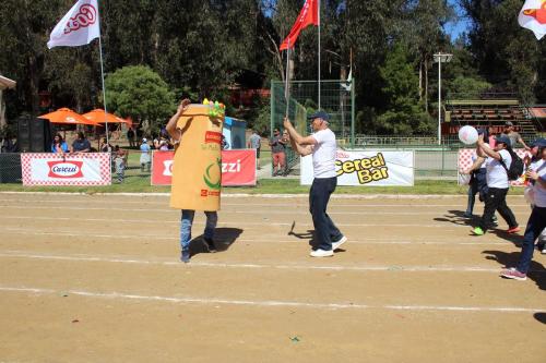 Olimpiada13 2018_702