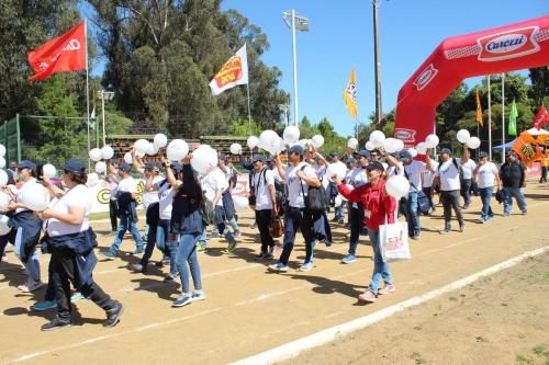 Olimpiada13 2018_704