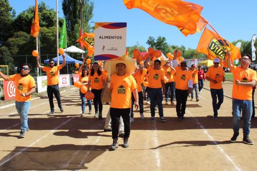 Olimpiada13 2018_707