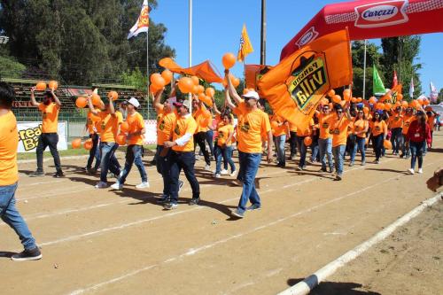 Olimpiada13 2018_708