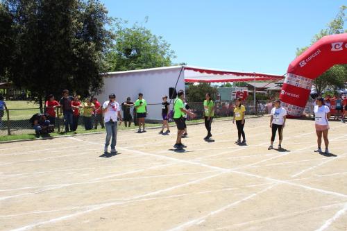 Olimpiada13 2018_818