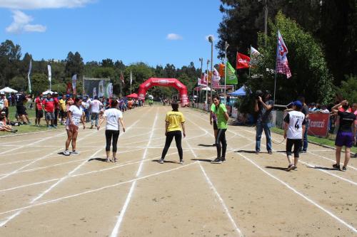 Olimpiada13 2018_823