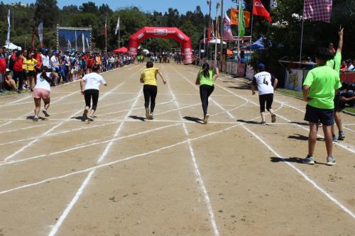 Olimpiada13 2018_825