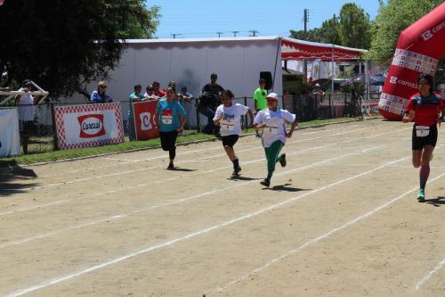 Olimpiada13 2018_828