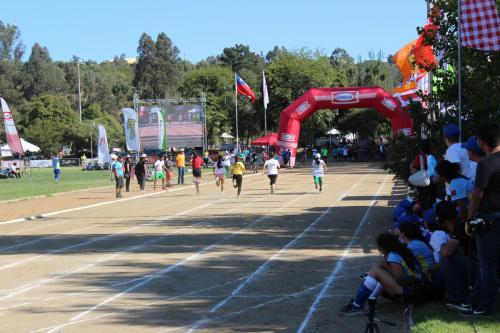 Olimpiada13 2018_900