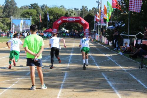 Olimpiada13 2018_934