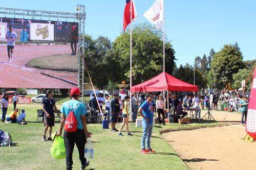 Olimpiada13 2018_961